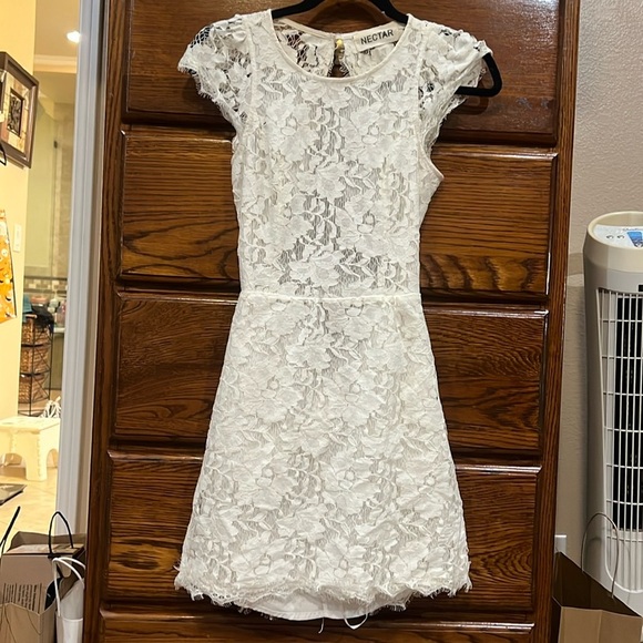 Nectar Lace Dress - Picture 1 of 8